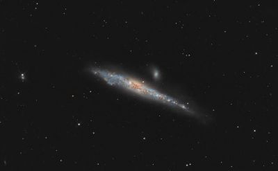 NGC 4631 Галактика  Кит ( The Whale )