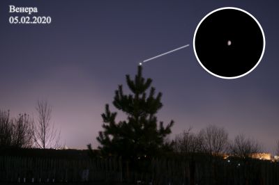 Венера и Елка (Арт)