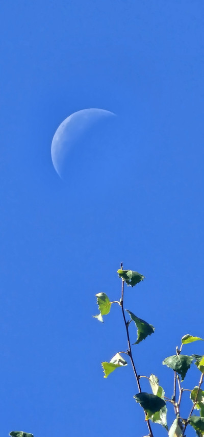Moon - Astrophotography