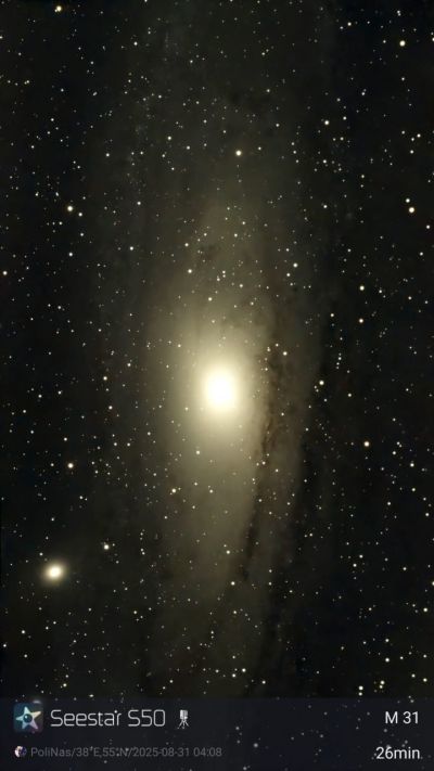 M31