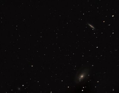 M81.M82