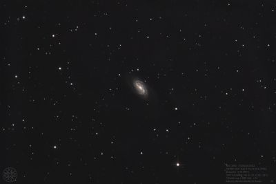 NGC 2903