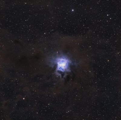 "Iris" NGC 7023