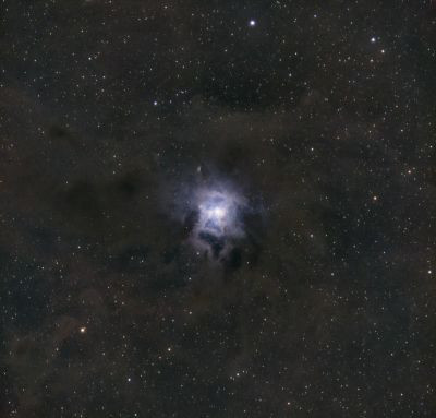 NGC 7023 IRIS