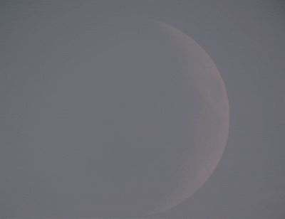 Пролет птиц на фоне вечерней Луны 24%. 21.08.23. Gif