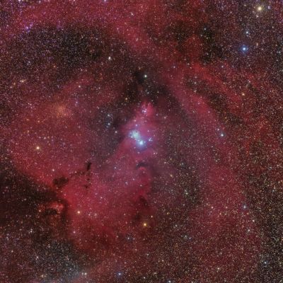 Christmas Tree Cluster (NGC 2264, Cone Nebula)