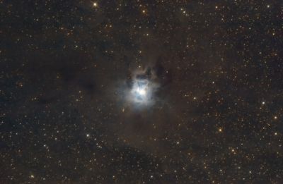 NGC 7023 - Отражательная туманность Ирис! - астрофотография