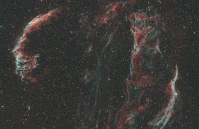 The 