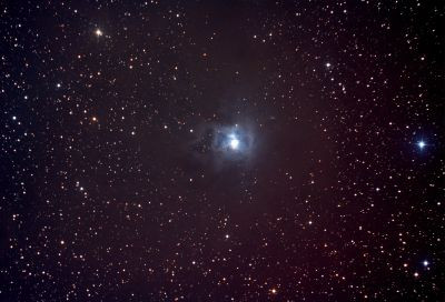 NGC 7023 - Iris Nebula