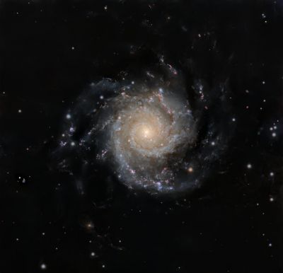 M74
