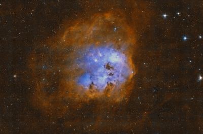 IC 410 - The Tadpoles Nebula - Chuck Novice