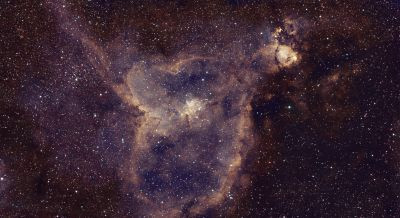 IC1805 - Fake SHO