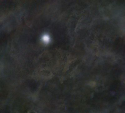 IFN вокруг полярной