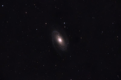 M81