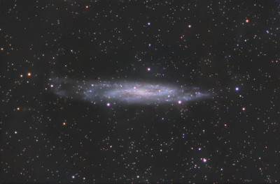 NGC7640 - Astrophotography