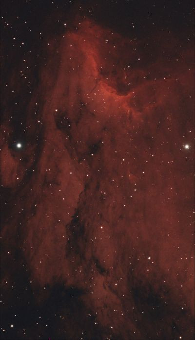 IC 5070 Pelican - Astrophotography
