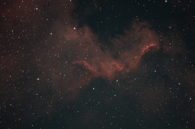 Стена в Лебеде 