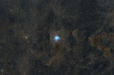 NGC 7023 Iris Nebula