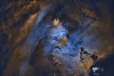 NGC2264 Christmas Tree Nebula