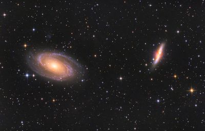 M81
