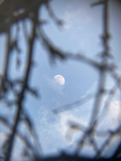 Луна. 22.04.2021