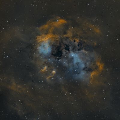 IC 410