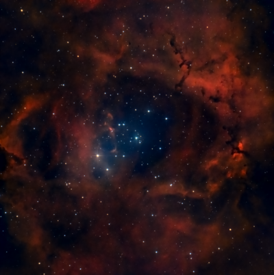 NGC2237 - Туманность Розетка