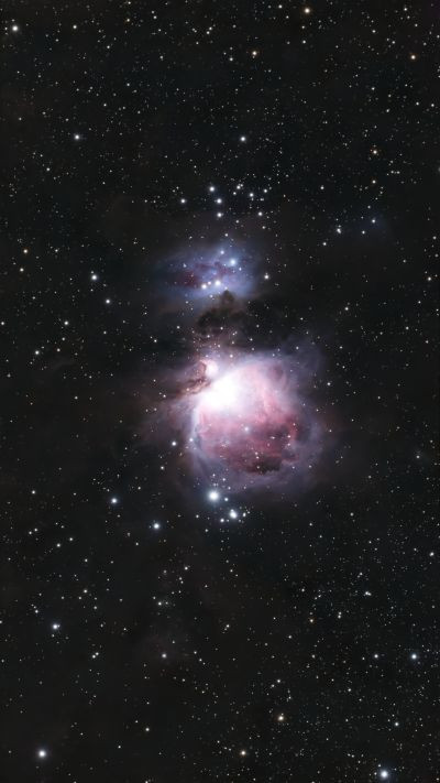 M42 Orion Nebula 