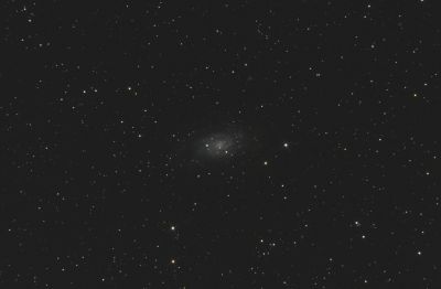 NGC 2403