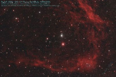 SH2-129 Flying Bat Nebula