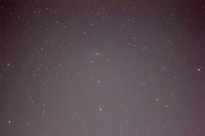 M31