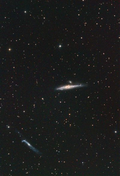 NGC 4631 - Whale Galaxy
