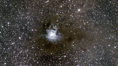 Iris Nebula NGC 7023 - Astrophotography