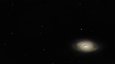 M64