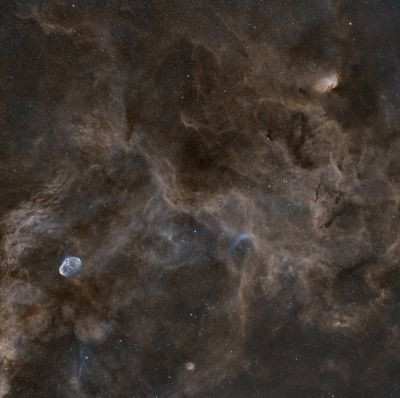 NGC6888 полумесяц и тюльпан
