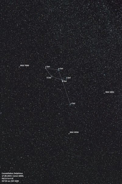 Delphinus - annotated