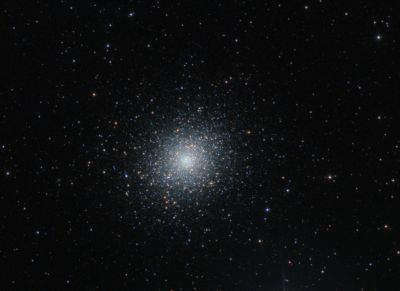 M5 (crop)