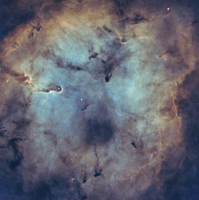 IC1396 (Хобот слона)