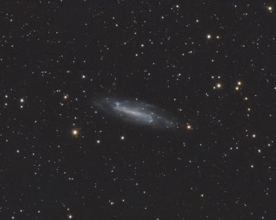 NGC 4236 (C3) - Astrophotography