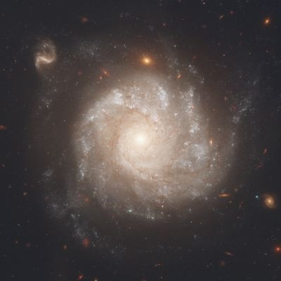 NGC 1309 - Astrophotography