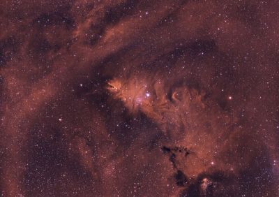 Туманность Лисий мех (она же Шишка)