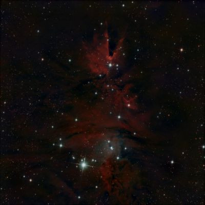NGC2264 - Astrophotography