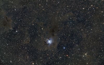 NGC7023 Iris