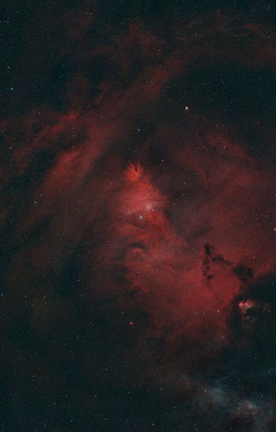 NGC 2264 Christmas Tree Cluster on Christmas Night - Astrophotography