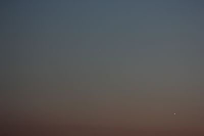 Венере Марс Регул