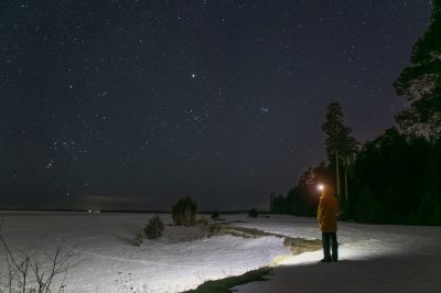 Ночное небо, село Орёл, зимние созвездия