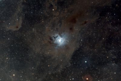 NGC 7023 Ирис
