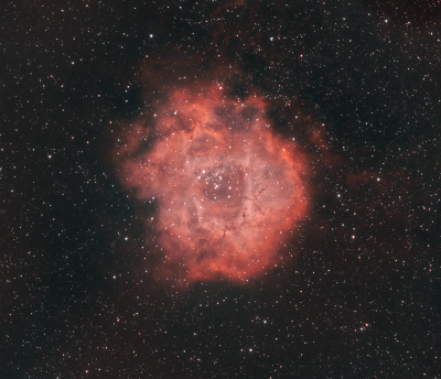 The Rosette Nebula