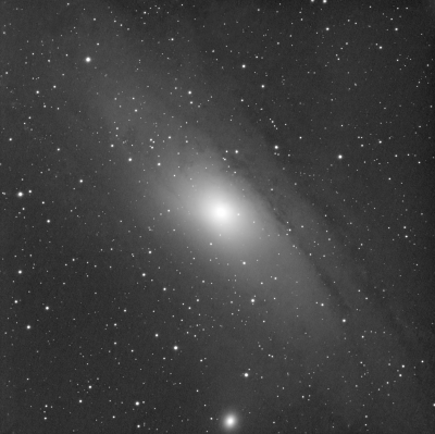 M31