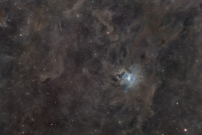 The reflection nebula 